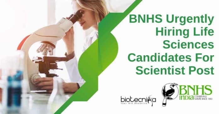 BNHS Scientist Job