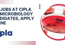 BSc Jobs at Cipla For Microbiology Candidates, Apply Online BSc Jobs at Cipla