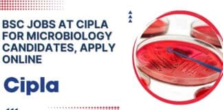 BSc Jobs at Cipla