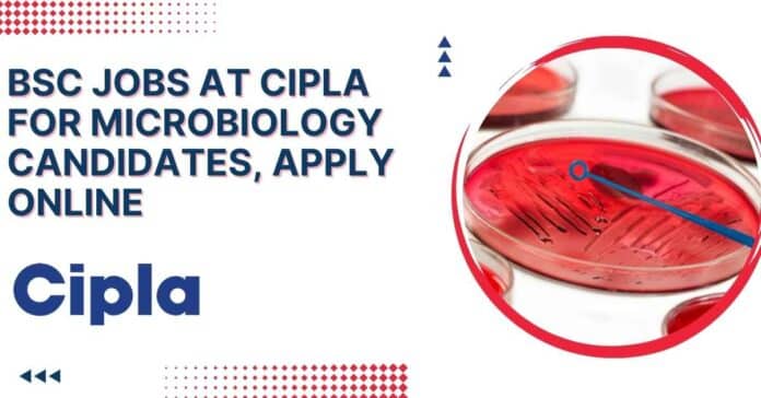 BSc Jobs at Cipla