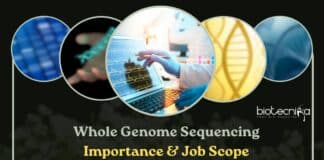 Whole Genome Sequencing Importance