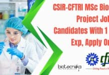 CSIR-CFTRI MSc Biotech Project Job For Candidates With 1 Year Exp, Apply Online CSIR-CFTRI MSc Biotech Project Job