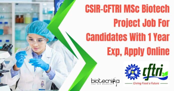 CSIR-CFTRI MSc Biotech Project Job