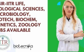 CSIR-IITR Project Vacancies 2023