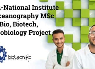 CSIR-NIO Project Job Opening