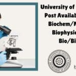 Calcutta University Job Opening