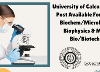 Calcutta University Job Opening