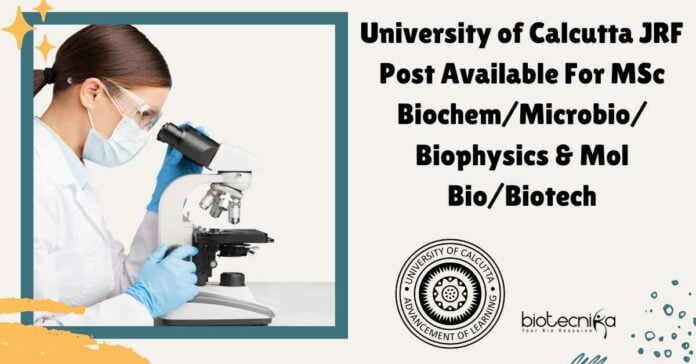 Calcutta University Job Opening