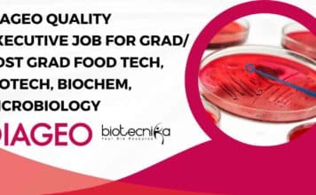 DIAGEO Quality Executive Job