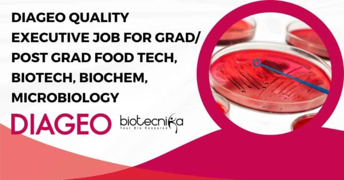 DIAGEO Quality Executive Job