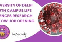 University of Delhi South Campus Life Sciences Research Fellow Job Opening Delhi Research Vacancy SRF