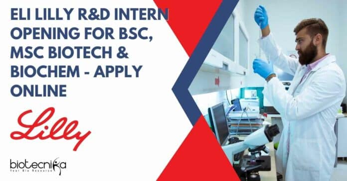 Eli Lilly R&D Intern Opening