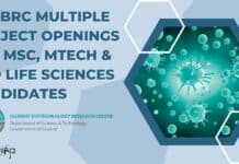 5+ GBRC Multiple Project Openings For MSc, MTech & PhD Life Sciences Candidates GBRC Careers 2023