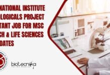 Govt NIB Project Assistant