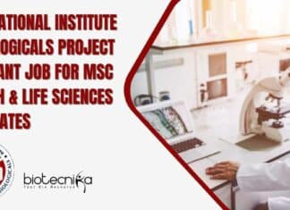 Govt NIB Project Assistant