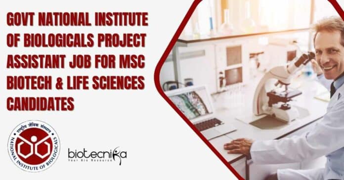 Govt NIB Project Assistant