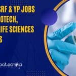 ICAR-IARI SRF & YP Jobs For MSc Biotech, Biochem, Life Sciences Candidates ICAR-IARI Research Jobs 2023