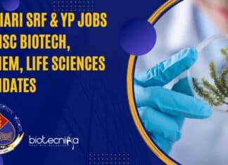 ICAR-IARI Research Jobs 2023