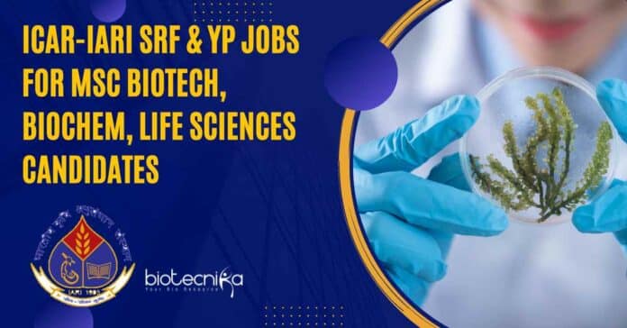 ICAR-IARI Research Jobs 2023