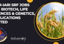 ICAR-IARI SRF Jobs