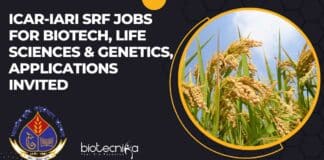 ICAR-IARI SRF Jobs