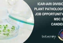 ICAR-IARI Division of Plant Pathology SRF Job Opportunity For MSc & PhD Candidates ICAR-IARI SRF PhD Job
