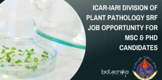 ICAR-IARI SRF PhD Job