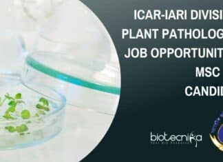 ICAR-IARI SRF PhD Job