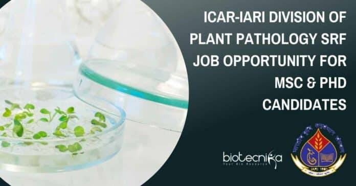 ICAR-IARI SRF PhD Job