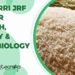 ICAR-NRRI JRF Job For Biotech, Botany & Microbiology ICAR-NRRI JRF Job