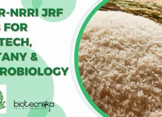 ICAR-NRRI JRF Job
