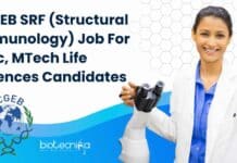 ICGEB SRF (Structural Immunology) Job