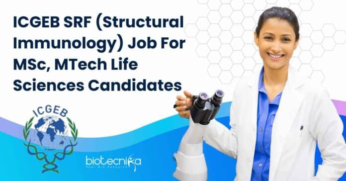 ICGEB SRF (Structural Immunology) Job
