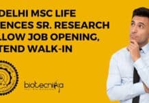 IIT Delhi MSc Life Sciences Sr. Research Fellow Job Opening, Attend Walk-In IIT Delhi MSc Life