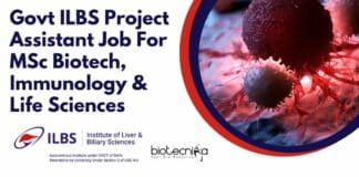 ILBS Project Assistant Job