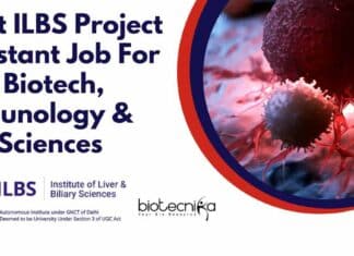 ILBS Project Assistant Job