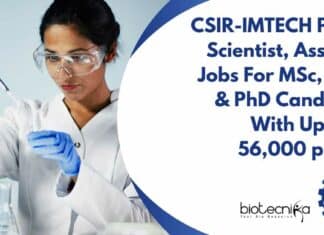 IMTECH Project Scientist &