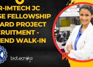 IMTECH Project Vacancy 2023