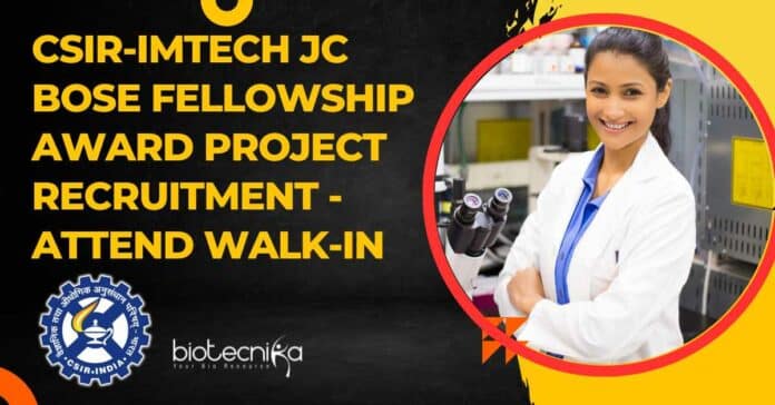 IMTECH Project Vacancy 2023