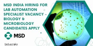 MSD India Hiring