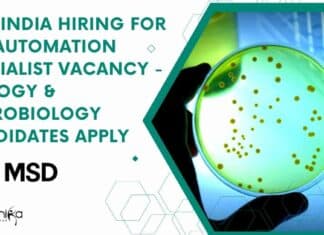 MSD India Hiring