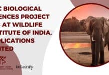 MSc Biological Sciences Project Job at Wildlife Institute of India, Applications Invited MSc Biological Sciences Project Job at Wildlife Institute of India, Applications Invited