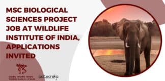 MSc Biological Sciences Project Job at Wildlife Institute of India, Applications Invited
