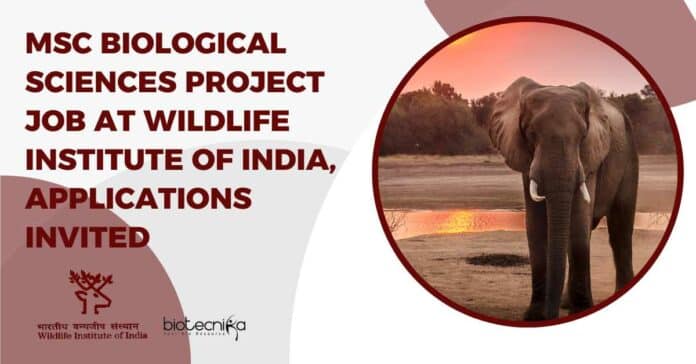 MSc Biological Sciences Project Job at Wildlife Institute of India, Applications Invited