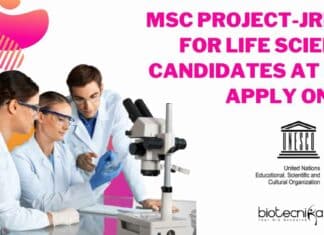MSc Project-JRF Job