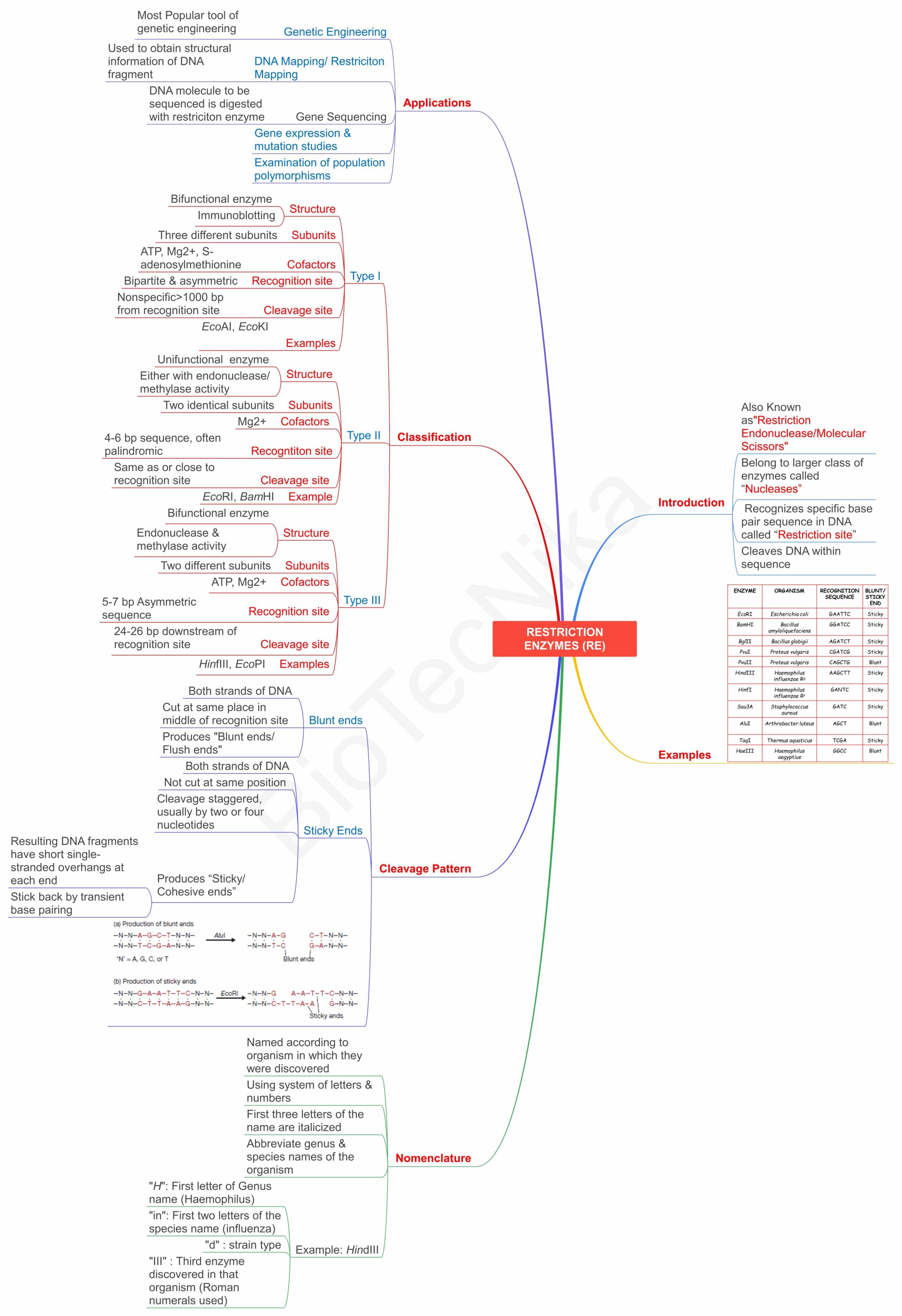 CSIR UNIT 13 Flowchart