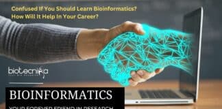 Why Learn Bioinformatics