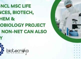 NCL Project Vacancy 2023