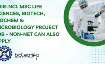 NCL Project Vacancy 2023