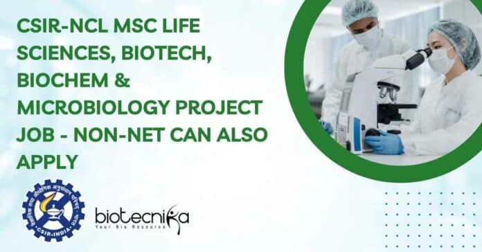 NCL Project Vacancy 2023